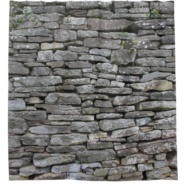 Baroque Damask: Luxury Floral Pattern (Front)