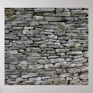 Baroque Damask: Luxury Floral Pattern Poster