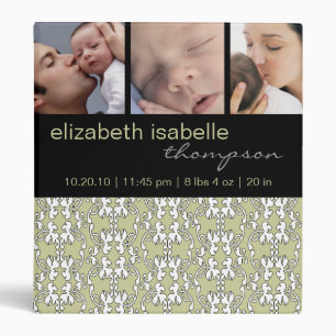 Baroque in Sage Baby Photo Binder