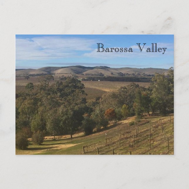 barossa view postcard (Front)