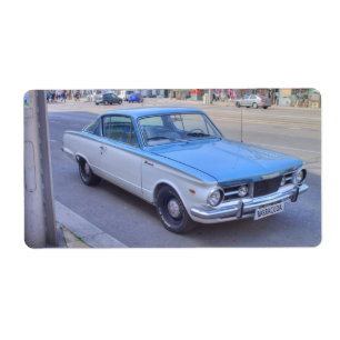Barracuda