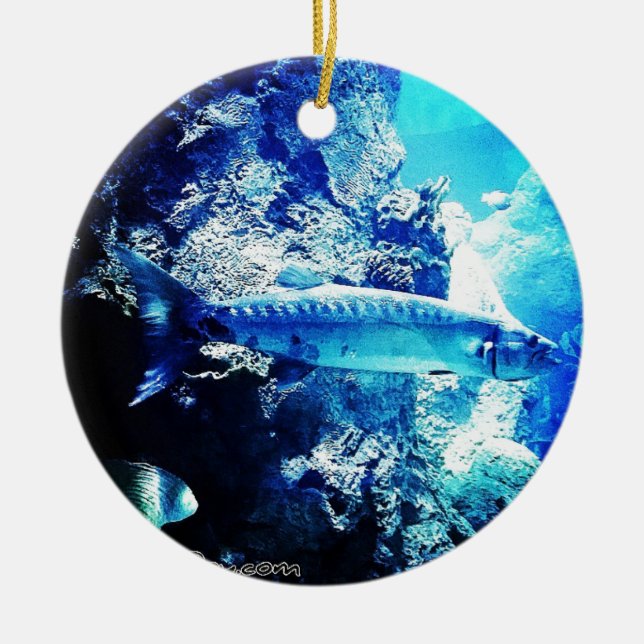 Barracuda Ceramic Ornament (Front)