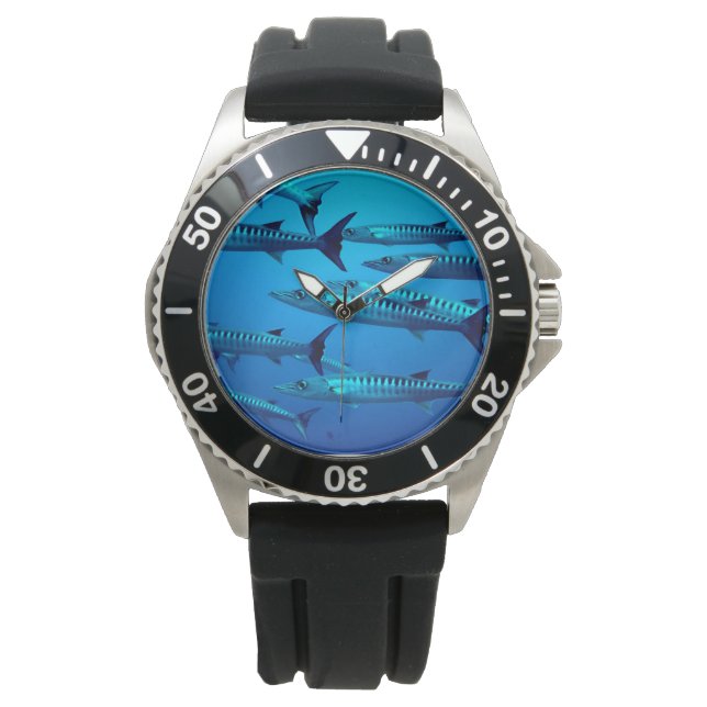 BARRACUDA. DANGEROUS FISH. WATCH (Front)
