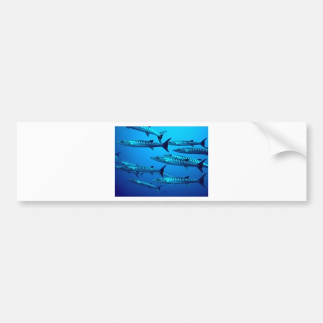 barracuda dive deep sea ocean water tropical wave bumper sticker (Front)