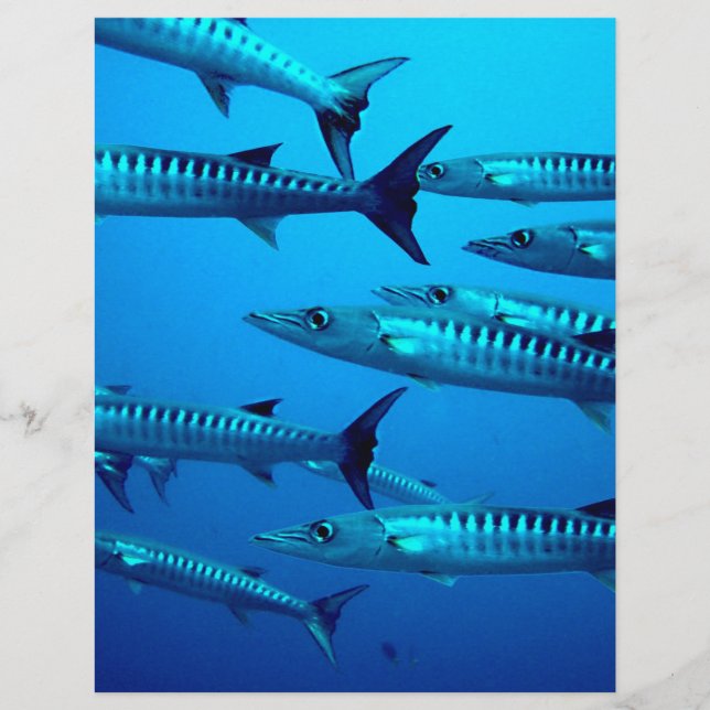 barracuda dive deep sea ocean water tropical wave flyer (Front)