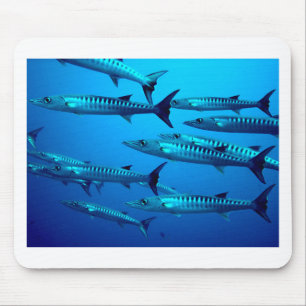 barracuda dive deep sea ocean water tropical wave mouse pad