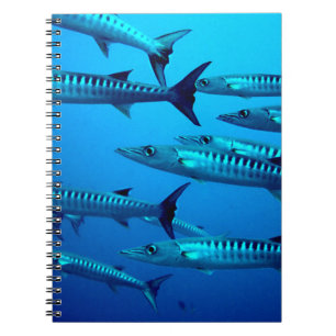 barracuda dive deep sea ocean water tropical wave notebook