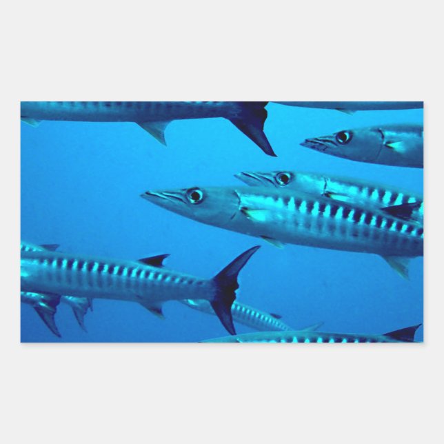 barracuda dive deep sea ocean water tropical wave sticker (Front)
