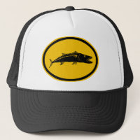 Barracuda Fish
