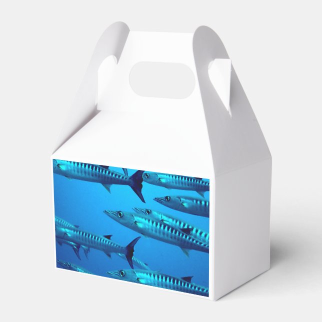 Barracudas Favor Box (Back Side)