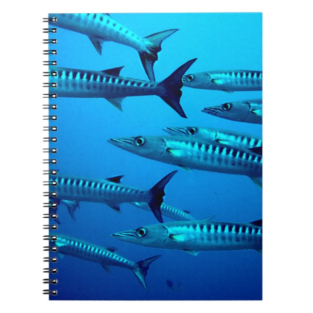 Barracudas Notebook (Front)