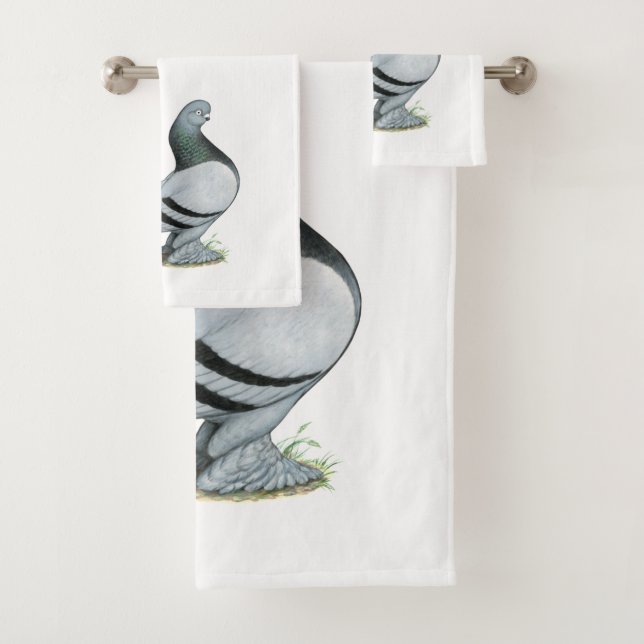 Barre Bleue Berliner Tumbler Pigeon (En situation)