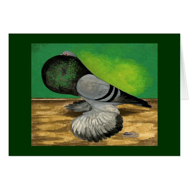 Barre bleue cropper (Devant Horizontal)