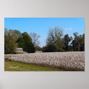 Barre et coton toile de champ ou affiche