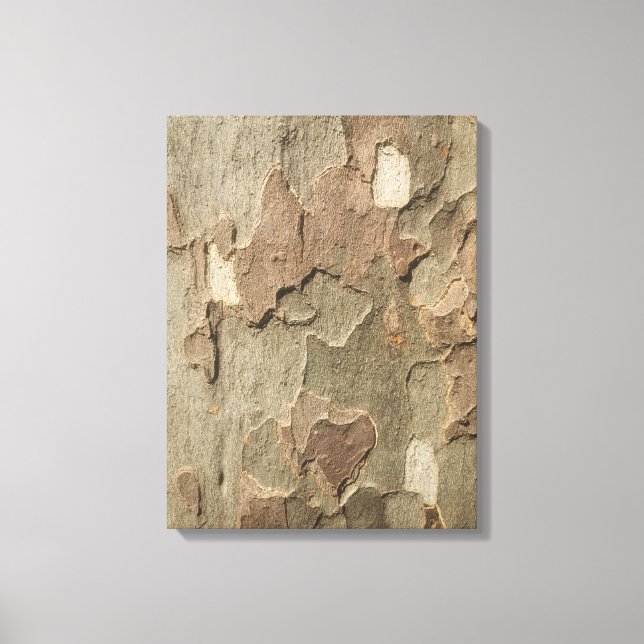Barre Sycamore toile étirée (Recto)