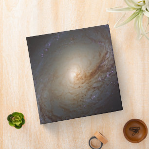 Barred Lenticular Galaxy Ngc 3368 Binder