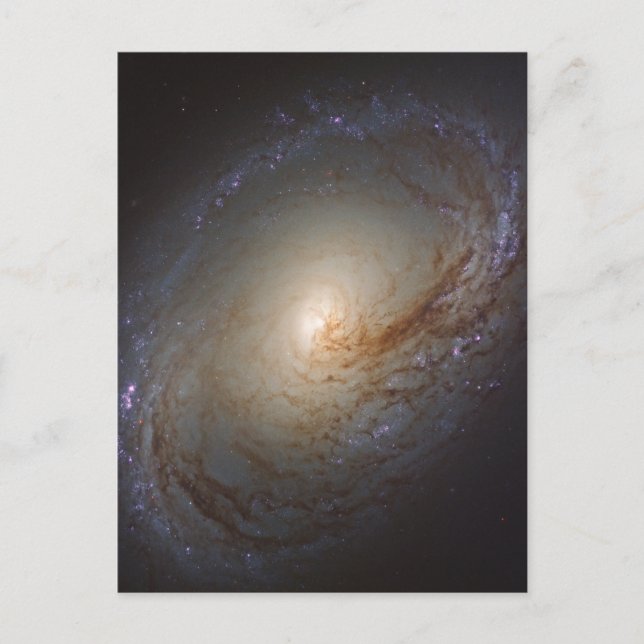 Barred Lenticular Galaxy Ngc 3368 Postcard (Front)