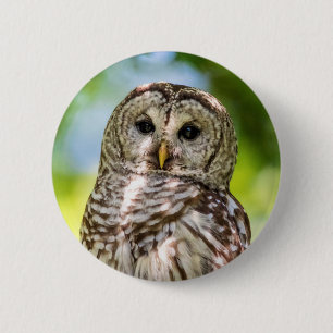 Barred Owl 2 Inch Round Button