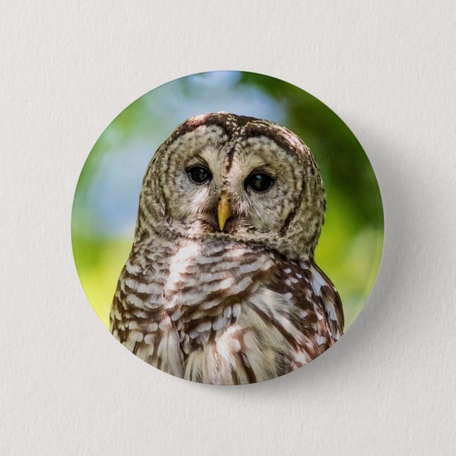 Barred Owl 2 Inch Round Button (Front)