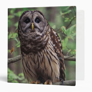 Barred Owl 3 Ring Binder