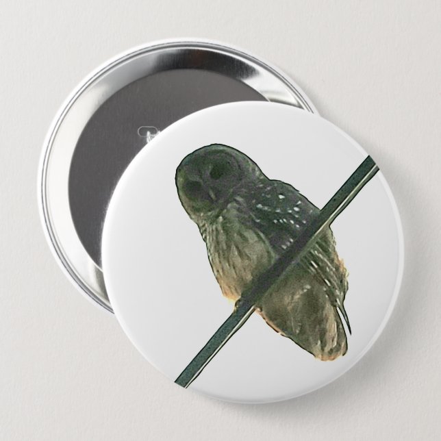 Barred Owl 4 Inch Round Button (Front & Back)