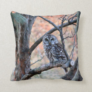 Barred Owl 6308 Throw Pillow