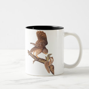 Barred Owl and Happy Squirrel Audubon Art Two-Tone Coffee Mug