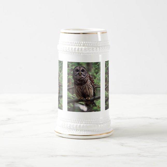 Barred Owl Beer Stein (Center)