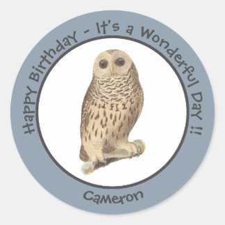 Barred Owl - Birthday or Other Party Themed Event Classic Round Sticker