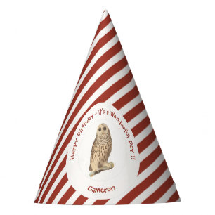 Barred Owl - Birthday or Other Party Themed Event Hat