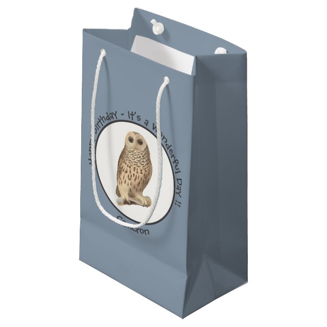 Barred Owl - Birthday or Other Party Themed Event Small Gift Bag (Front Angled)