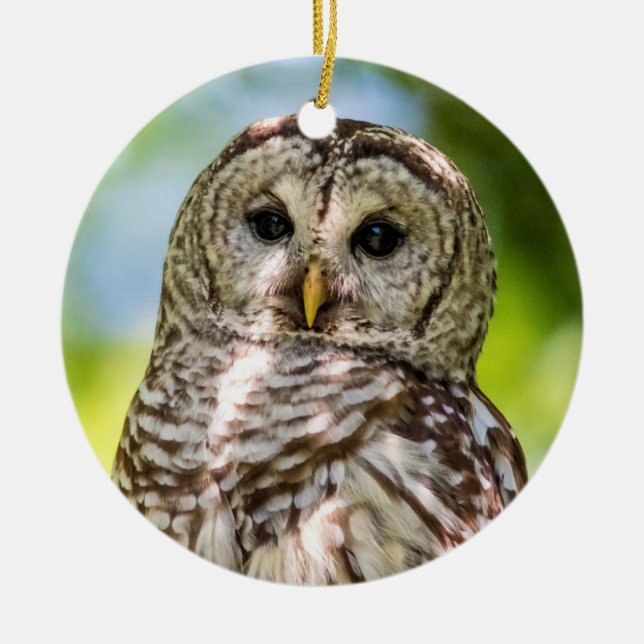 Barred Owl Ceramic Ornament (Front)