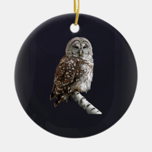 Barred Owl Ceramic Ornament
