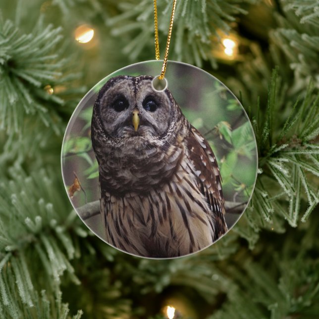 Barred Owl Ceramic Ornament (Tree)