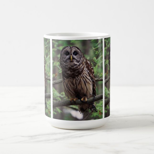 Barred Owl Coffee Mug (Center)