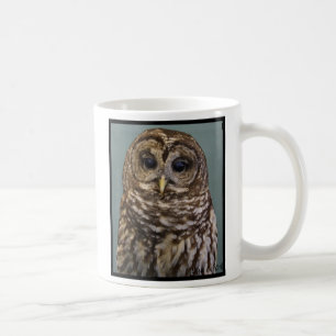 Barred Owl Coffee Mug