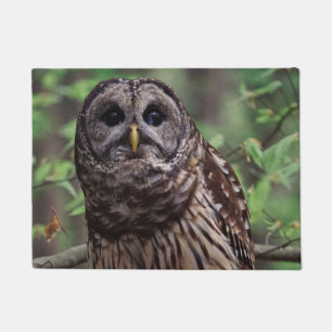 Barred Owl Doormat