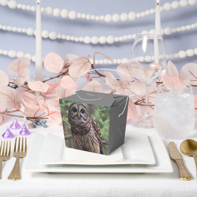 Barred Owl Favor Box (Wedding)
