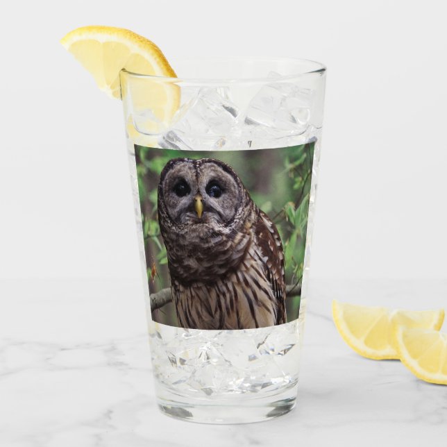 Barred Owl Glass (Front Ice)