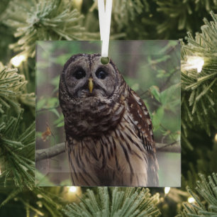 Barred Owl Glass Ornament