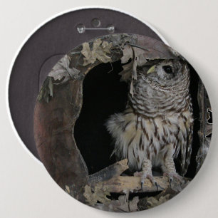 Barred Owl - Here's Looking at You! 6 Inch Round Button