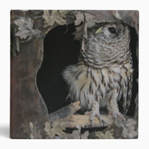 Barred Owl - Here's Looking at You! Binder
