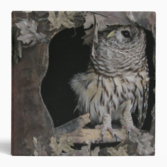 Barred Owl - Here's Looking at You! Binder (Front)
