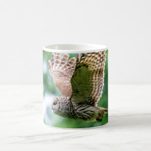 Barred Owl in flight Coffee Mug