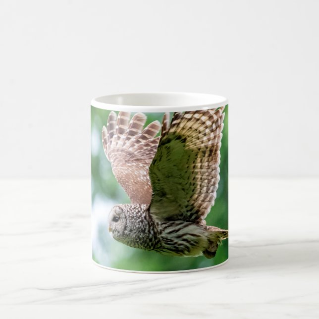 Barred Owl in flight Coffee Mug (Center)