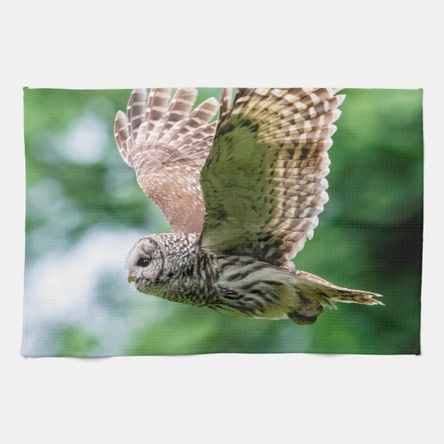 Barred Owl in flight Kitchen Towel (Horizontal)