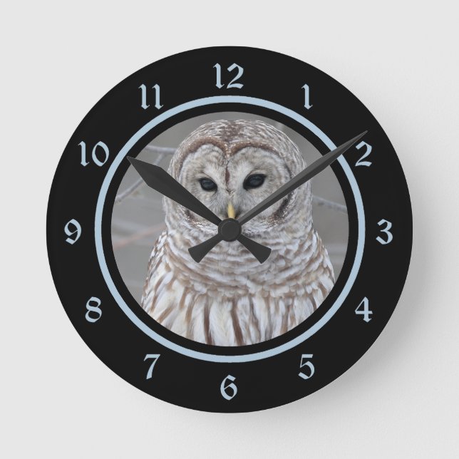 Barred Owl in Winter with Black and Ice Blue Trim Round Clock (Front)