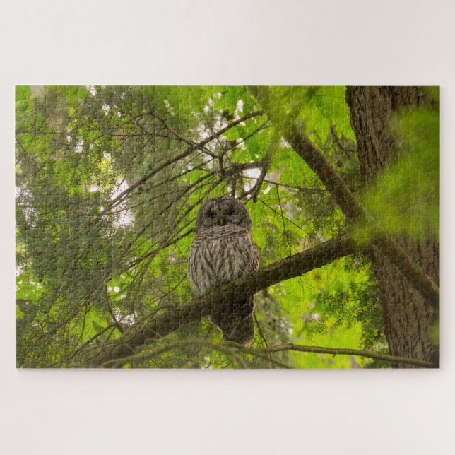 Barred Owl Jigsaw Puzzle (Horizontal)