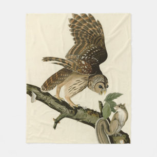 Barred Owl, John James Audubon's Birds of America Fleece Blanket