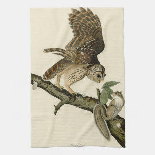 Barred Owl, John James Audubon's Birds of America Kitchen Towel